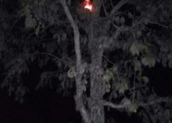 Diduga Hisap Bayi hingga Meninggal, Hantu Kuyang Gegerkan Dunia Maya