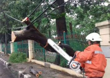 Cuaca Buruk, PLN  Kutim Merugi