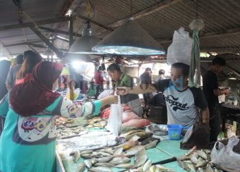 Cuaca Buruk, Harga Ikan di Bontang Melonjak Naik 