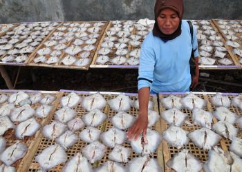 Waduh… Cuaca Buruk, Produksi Ikan Asin Menurun