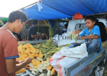 Jelang Pergantian Tahun, Pedagang Jagung Mulai Menjamur