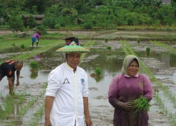 Guntung Giatkan Bercocok Tanam, Berharap Swasembada Pangan