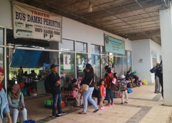 Armada Kurang, Penumpang Menumpuk di Terminal, Tunggu Sampai 4 Jam