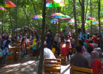 Wuiih… Pengunjung Mangrove BSD Tembus 8 Ribu