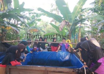 Terapkan Pembelajaran Biologi, Siswa Kelas IX SMPN 8 Praktik Budidaya Ikan Lele