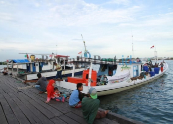 Aktivitas Sore Prakla Dalam Lensa
