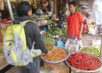 WOW!!! Harga Cabai di Kutim Makin Pedas Capai Rp 200 Ribu Per Kilogram