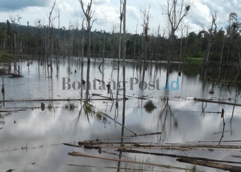 Puluhan Hektar Tanah Kering Jadi Danau 