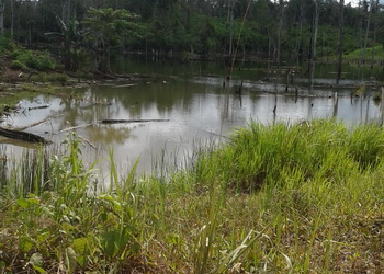 Desa Minta Perusahaan Buat Jalan Alternatif