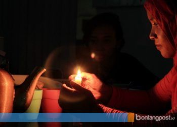 Soal Biarpet, PLN Masih Telusuri