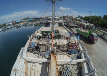 Aktivitas Bongkar Muat Semen Dalam Lensa