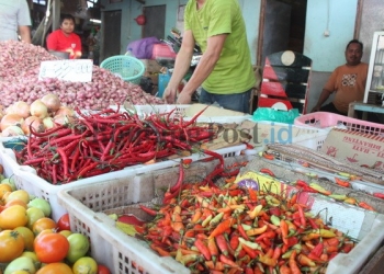  Stok Melimpah, Harga Cabai Rawit Turun