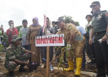 Sungai Masabang Dipasang ‘Tameng’ 200 Pohon 