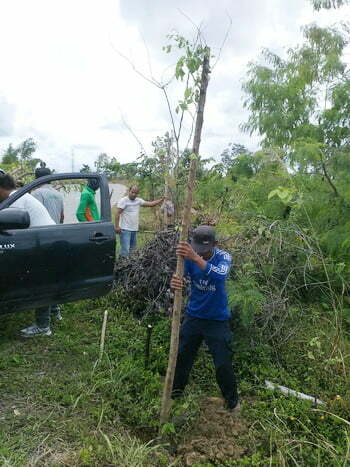 Manfaatkan Musim Penghujan, Tanam 552 Pohon