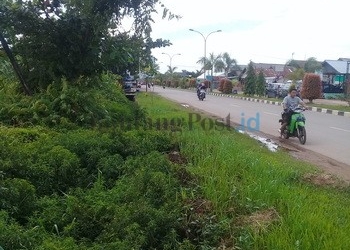 Rumput Drainase Sjahrani Disorot