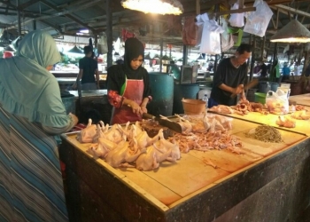 Pasca Lebaran, Harga Daging Ayam Belum Pulih
