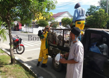 Pekerja Non Muslim Ikut Bersihkan Masjid