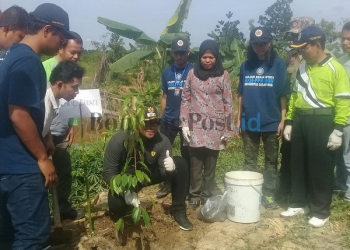 Tanam 300 Pohon, Bibir Sungai Silvaduta Disulap jadi Wisata Buah