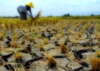 Antisipasi Datangnya Musim Kemarau, Bupati Minta Siapkan Sumber Air Baku Cadangan