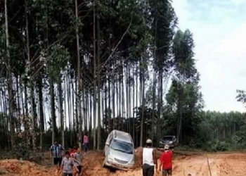 Perbaikan Jalan Kecamatan Skala Prioritas, Masuk Program Multiyears 2018 