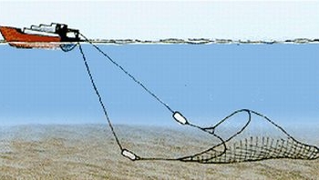 Soal Maraknya Penggunaan Trawl, Melanggar, Lanal Siap Tindak Tegas