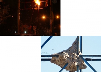 Turunkan 13 Personil, Sarang Tawon Jumbo Dimusnahkan Disdamkartan 