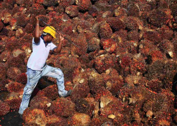 DPRD akan Panggil Perusahaan