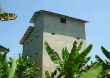 Pungutan Pajak Walet Dianggap Memberatkan Pengusaha