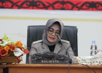 APBD-P Berpotensi Alami Penurunan 