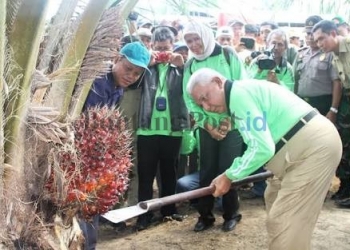 Sawit Ungguli Tambang, Dalam Bidang Perekonomian Kaltim 