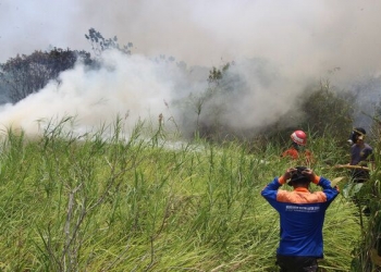 Kapolda Wanti-wanti Pembakar Lahan