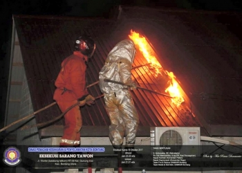 Pakai Alat Seadanya, Disdamkartan Basmi Sarang Tawon