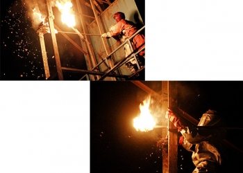 Sarang Lebah Bikin Resah