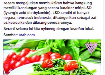 Makan Kangkung di Indonesia Masih Aman