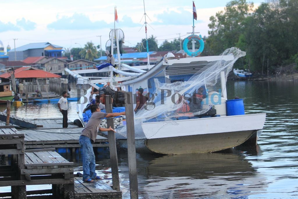 Bongkar Muat Ikan  Segar Bontang Post