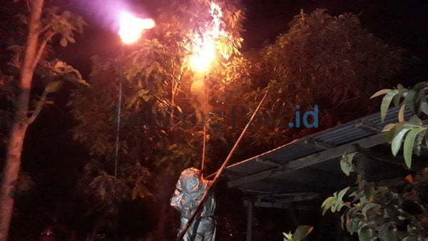 Takut Makan Korban, Sarang Tawon Jumbo Diberangus 