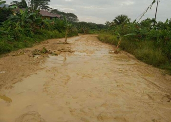 Kesal, Warga Tanami Pohon Pisang 