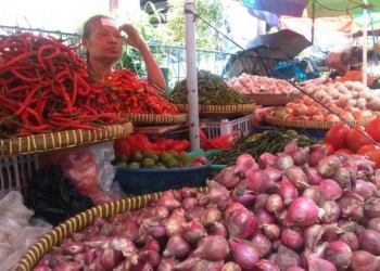 Minggu Kedua Februari Harga Bawang Putih Melonjak Tinggi