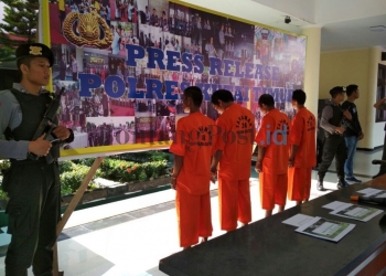 Lahan Dirusak Orang Utan,  Pemkab Siap Ganti 