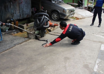 Hiii.. Kobra Jatuh dari Plafon Kamar