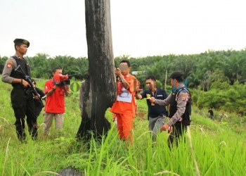 Polres ‘Buka Lagi’ Kasus Pembantaian Orang Utan 2 Tahun Lalu