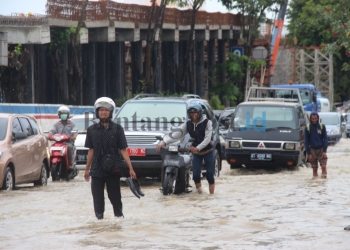 Tambang Jadi “Dalang”