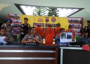 Kompolotan Pencuri Sapi Didor 