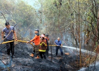 Tak Mampu Cegah Kebakaran, Dandim Terancam Dicopot 