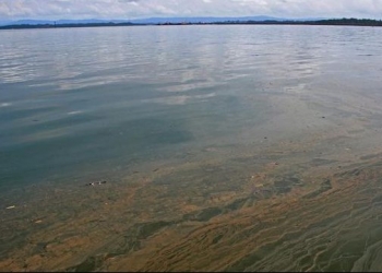 Polri Usut Pidana Minyak Tumpah Pertamina di Balikpapan