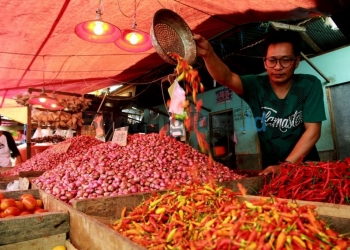 Harga Cabai Mulai “Pedas”