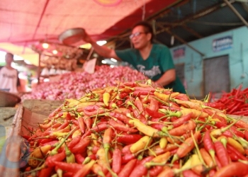 Pasokan Kurang, Harga Cabai Fluktuatif 