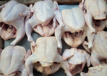 Disperindag Bantah Kenaikan Ayam karena BBM