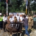 SIMBOLIS: Kepala Teknik Tambang PT IMM Era Tjahya Saputra menyerahkan bantuan secara simbolis berupa seekor sapi kepada salah satu perwakilan penerima manfaat.(Rudy M / BontangPost)