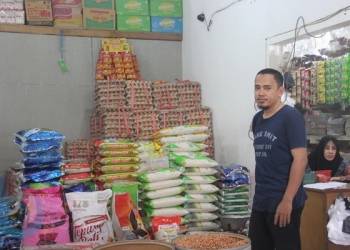 Panen Raya, Harga Beras Terjun Bebas